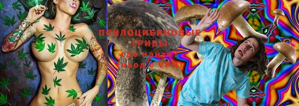 экстази Ельня