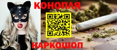 стафф Лесосибирск