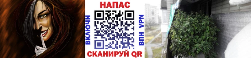 Шишки марихуана SATIVA & INDICA Зеленогорск